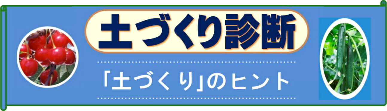 土づくり診断 ライズ 微生物資材 ユキパー 有機肥料