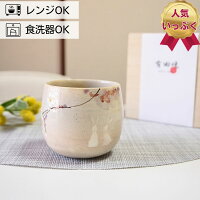 有田焼 丸湯呑み 丸カップ 木箱入り 縞輝 ピンク 東原窯 | コーヒーカップ ロックカップ 焼酎カップ コップ ギフト 陶器