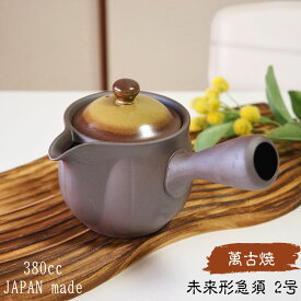 萬古焼 急須 未来形 2号 平網 黄 おしゃれ 日本製 ティーポット 茶器 ポット 茶こし付き 茶出し お茶 洗いやすい