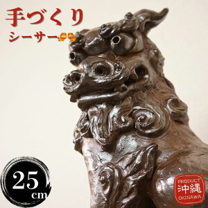 V[T[ u  25cm т˂  Â 葢    和  O Ou  V[T[̒u