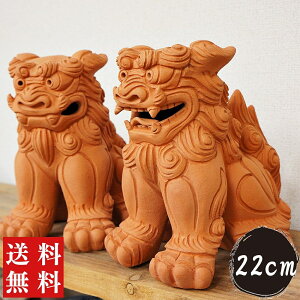 V[T[ u  (22cm) ԏĂ |   u  V[T[̒u ꓩ ₿ނ