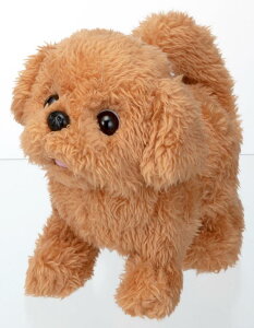 C(IWAYA) sbR[l gCv[h drœʂ 3 {̃TCYW115×H150×D175mm 3324-2