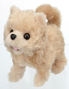 C(IWAYA) sbR[l |jA drœʂ 3324-1