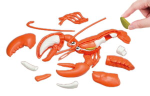 KnEX(MegaHouse) IIuX^[̃pY Ώ۔N6Έȏ