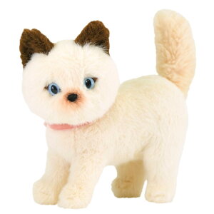 T WB ˂̂ʂ ӂނ BE 16×9×16cm L[g 킢 x[W JOLLY ȔL P-9972