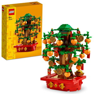 S(LEGO) ̂Ȃ  ߋ a v[g ubN j̎q ̎q q 9 10 11 w CeA IV ϗtA tFCNO[ 40648