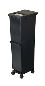 VP(Shinki Gosei) g{ j[h S~ 2i  WJɂ݂̂Ă X LX^[t 36bg ubN s33.5×23.5×85.5cm Wt {