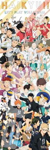 GXJC(ENSKY) nCL[!! HAIKYU!! CHRONICLES 34×102cm WO\[pY 950s[X JIGSAW PUZZLE 950-48