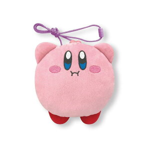 GXPCWp ̃J[rB ʂ݃lbN|[` zoO