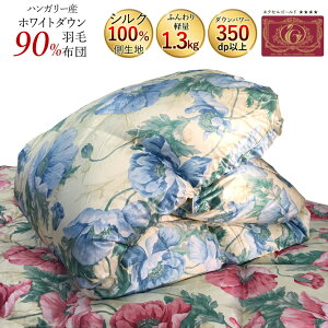 Hѕzc@VN100n@nK[Y@zCg_E90@1.3k@350dpȏ@@VO@150×210