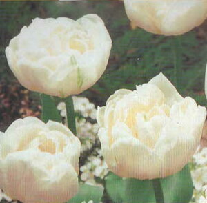 yHAz`[bv}Eg^R} 3 ԉc