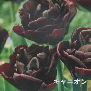 yHAz6ނ炨IтI`[bv 3 ԉc