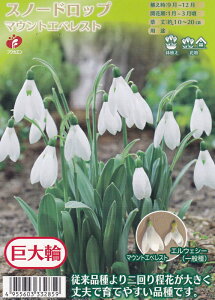 Xm[hbv }EgGxXg 2yzԉc