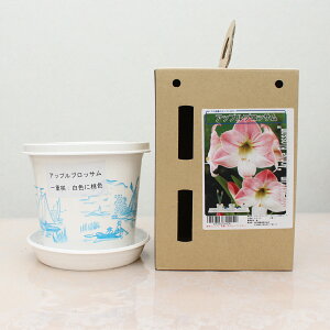 |bgA}XyAbvubTzd炫:FɓF 1