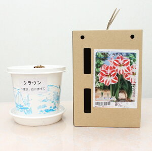 |bgA}XyNEzd炫:ɐԂ 1