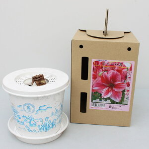 |bgA}XyW[oXzʌd炫:2F炫1