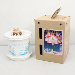 v~A |bgA}XyX|bgCgzʌd炫:2F炫1