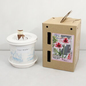 v~A |bgA}XyV[}X^[zʌd炫:2F炫1