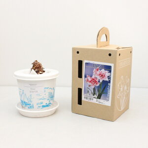 |bgA}XyGoXzʌ蔪d炫F2F炫 1