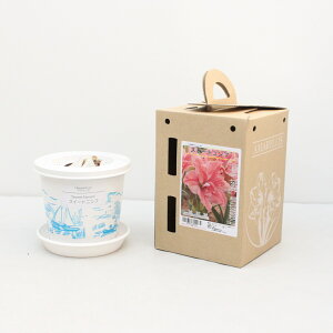 |bgA}XyXC[gjtzʌ蔪d炫F 1