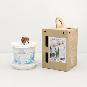 |bgA}XyXgCvhA}fEXzʌ蔪d炫F2F炫 1