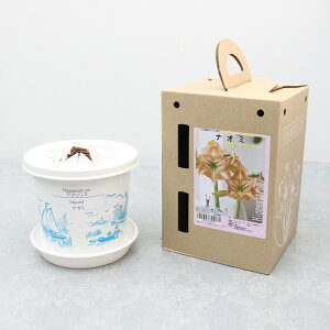 v~A |bgA}XyiI~zd炫:2F炫1ʌ