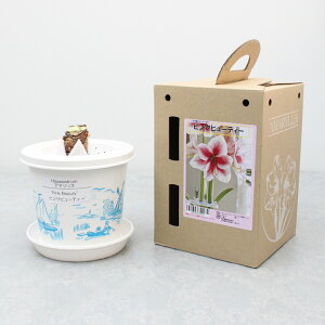 v~A |bgA}XysNr[eB[z2d炫:2F炫1