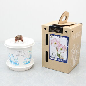 XXL |bgA}Xy`F[ubTzd炫:2F炫1