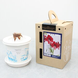 XXL |bgA}Xy_tlzd炫:2F炫1