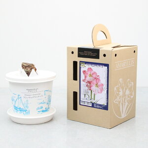 XXL |bgA}XyubTOfBXzd炫:2F炫1