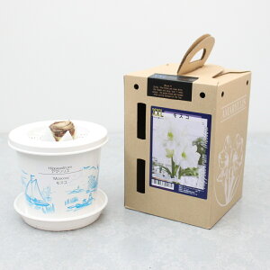 XXL |bgA}XyXRzd炫:1