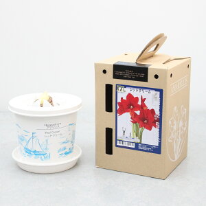 XXL |bgA}XybhN[zd炫:1