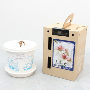 XXL |bgA}XyOfBXt@^W[zd炫:2F炫1