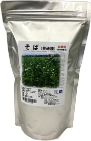 【お徳用】そば 種（普通種）1L栽培用種子 景観用種子