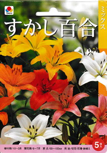 【秋植え球根】すかし百合ミックス 5球入