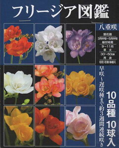 t[WA } d10i10 ^LCcyHAz