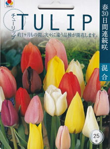 `[bv t30ԘA獬25 ^LCcy݂ȃ`[bvoGeB[ɕxł܂I