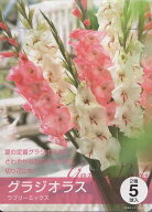 【春植球根】グラジオラス2種5球入／3種5球入4種類から選べます！