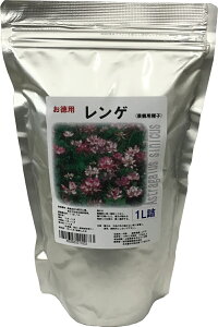 ypzQ 1L iϗpq