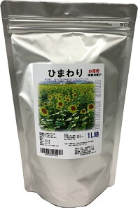 ypzЂ܂q 1L VAЂ܂ iϗpq