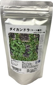【お徳用】ダイカンドラ100ml景観用種子