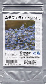 【お徳用】ネモフィラ種子 100ml インシグニスブルー［大容量］グランドカバー用景観用 花畑 青い小花 大量種まき 育てやすい