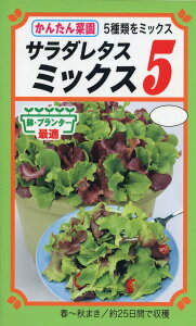 yqz񂽂؉T_^X~bNX5g[zN̂