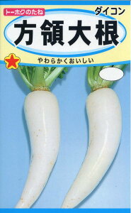 yqz̑卪 _CRg[zN̂