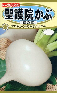 【秋まき種子】聖護院かぶ 京の雪トーホクのたね