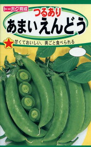 yqzXibvGhE邠 ܂ǂg[zN̂