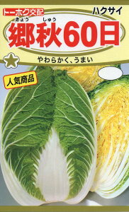 ؁ Hi傤イj60yqzg[ẑ