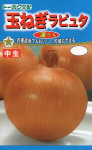 ^}lMʂ˂ s^()g[zN̂