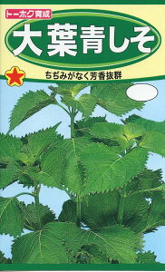 �y��q�z�V�\��t�����g�[�z�N�̂���