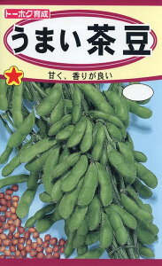 �y��q�z�G�_�}�����܂������g�[�z�N�̂���